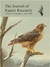 JOURNAL OF RAPTOR RESEARCH封面